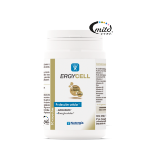 ERGYCELL