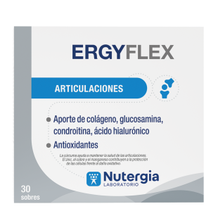 ERGYFLEX