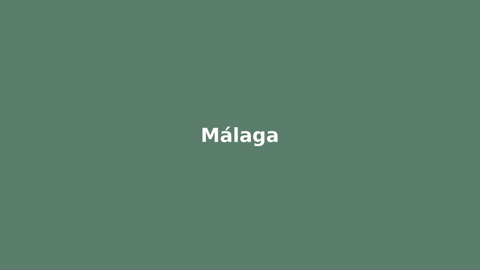 Osteopatía en Málaga - imagen de Málaga