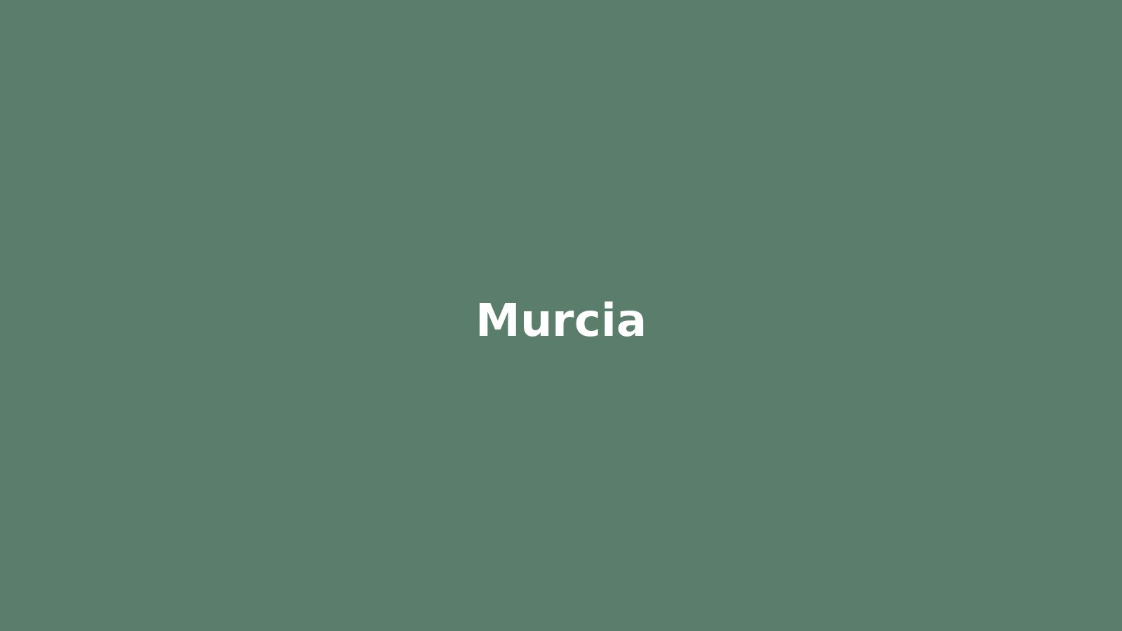 Osteopatía en Murcia - imagen de Murcia