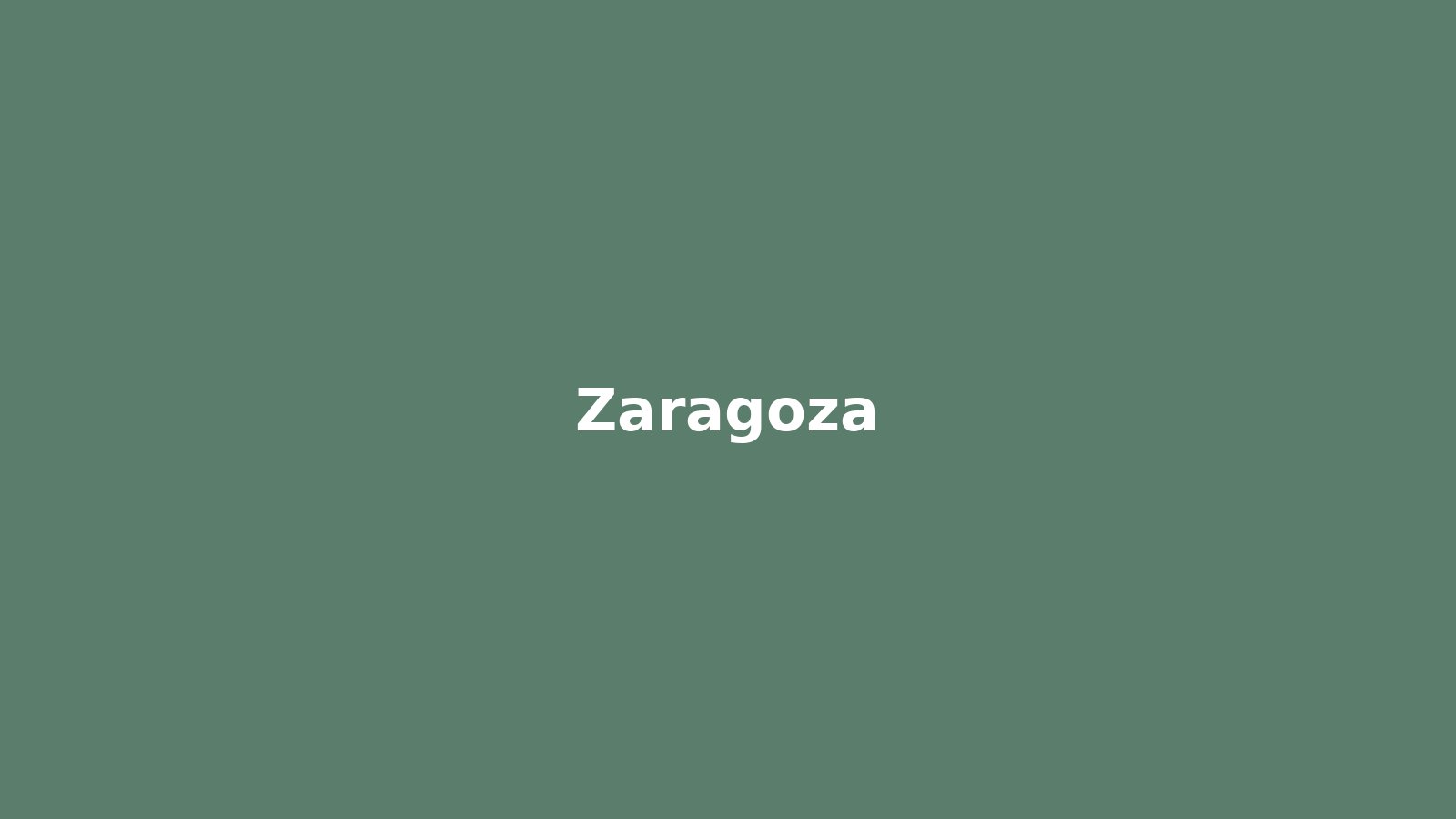 Osteopatía en Zaragoza - imagen de Zaragoza