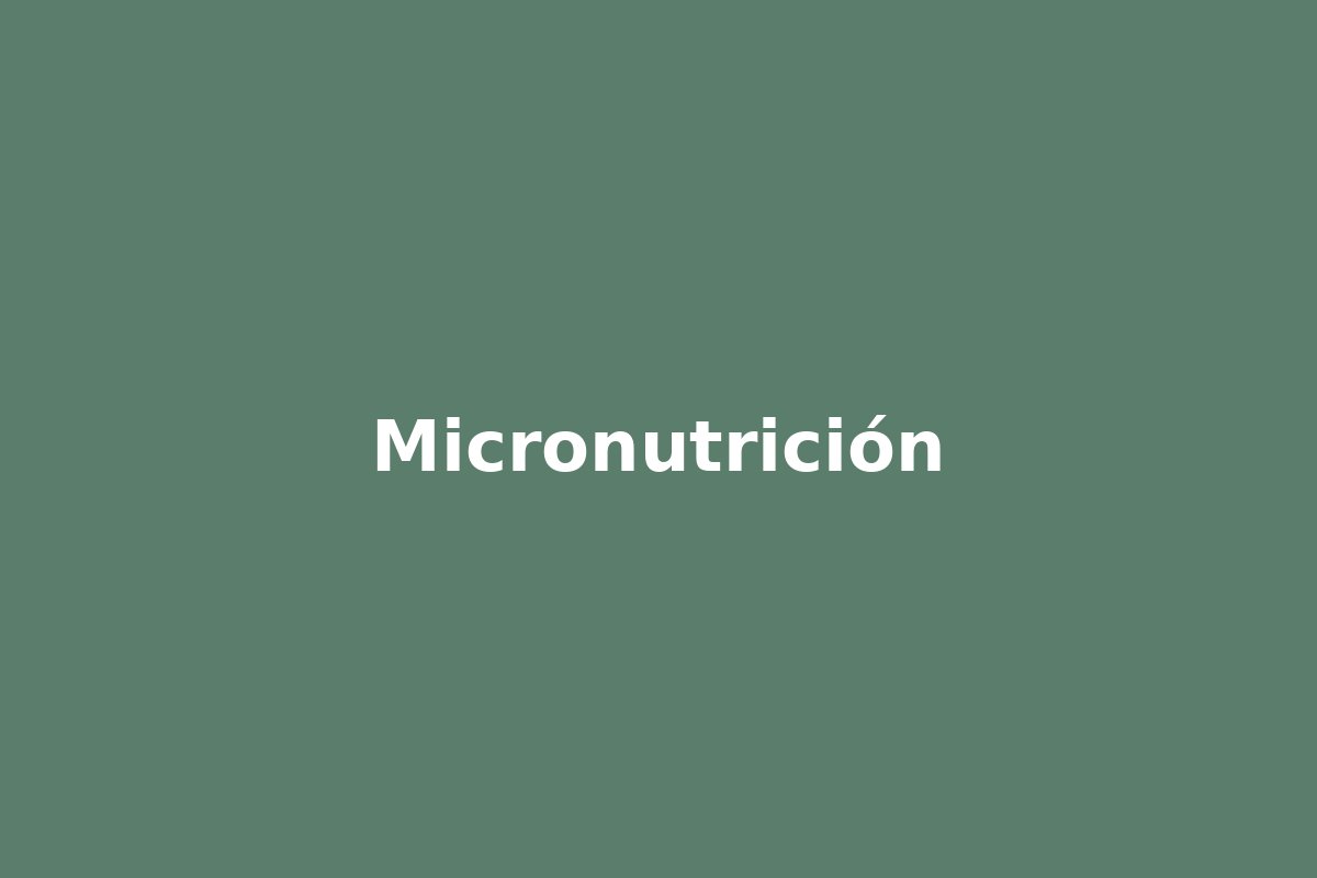 Micronutrición - sesión clínica